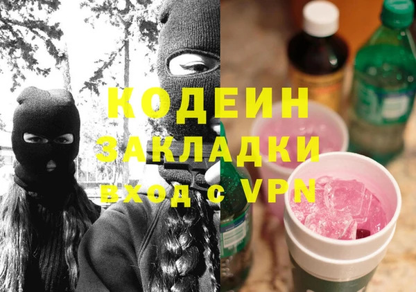 индика Беломорск