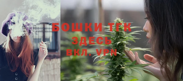 индика Беломорск