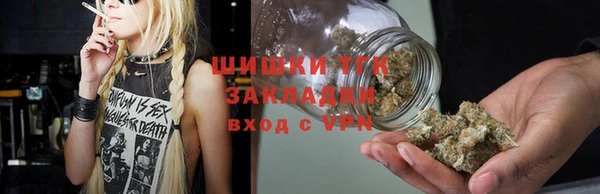 гидра Белоозёрский