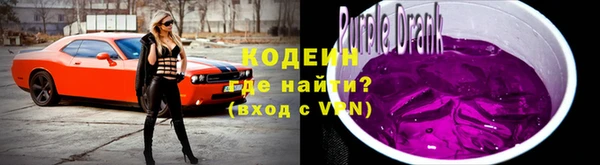 индика Беломорск