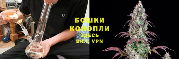 гидра Белоозёрский