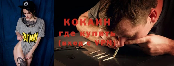 индика Беломорск