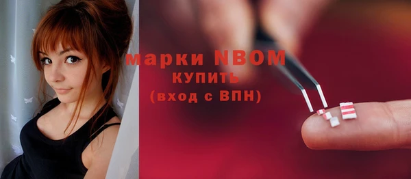 индика Беломорск