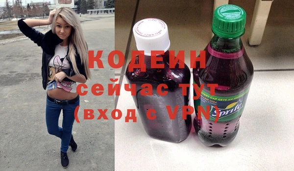индика Беломорск