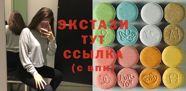 индика Беломорск