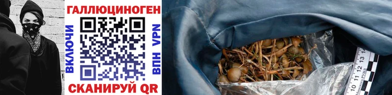Галлюциногенные грибы Cubensis  Курильск 